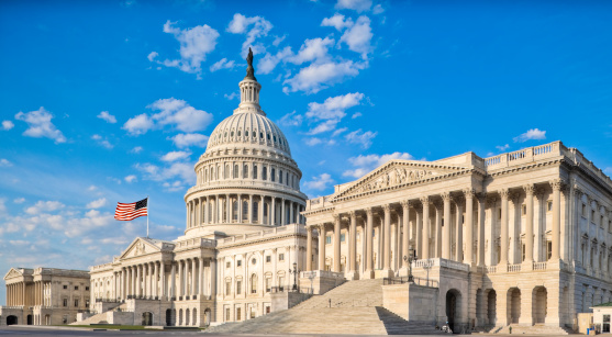 Image of U.S. Capitol Building
